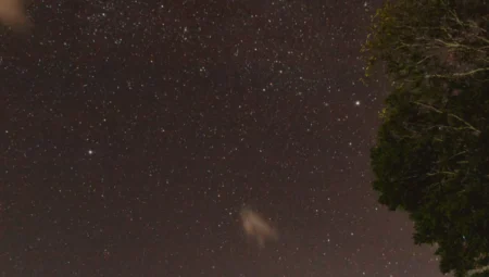 Yıldızların Altında Bir Gece: Astronomi ve Kamp